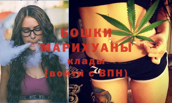крисы Новозыбков