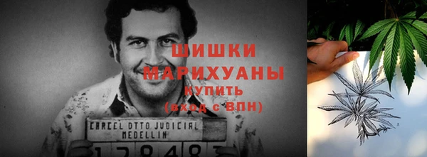 крисы Новозыбков