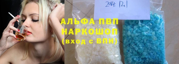 крисы Новозыбков