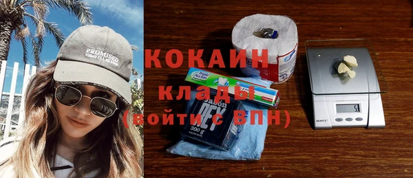 крисы Новозыбков