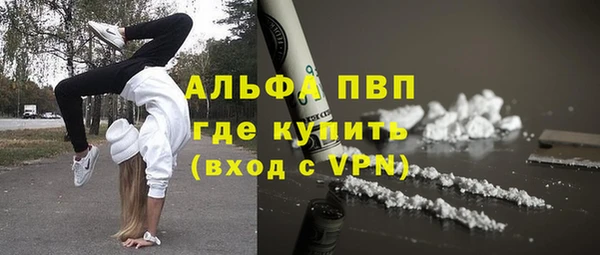 крисы Новозыбков