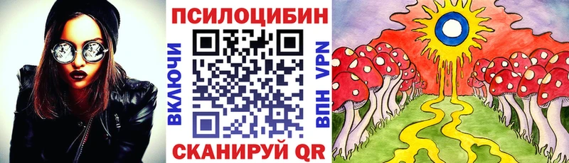 Галлюциногенные грибы Cubensis  Осташков 